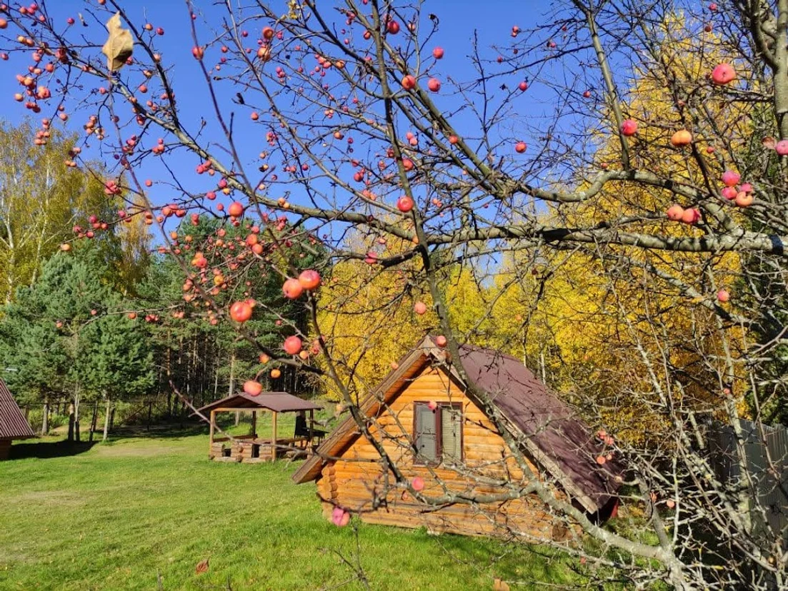 image-2